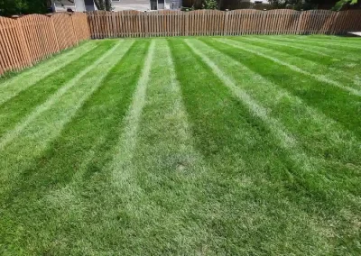 Landscape Company