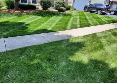 Landscape Services