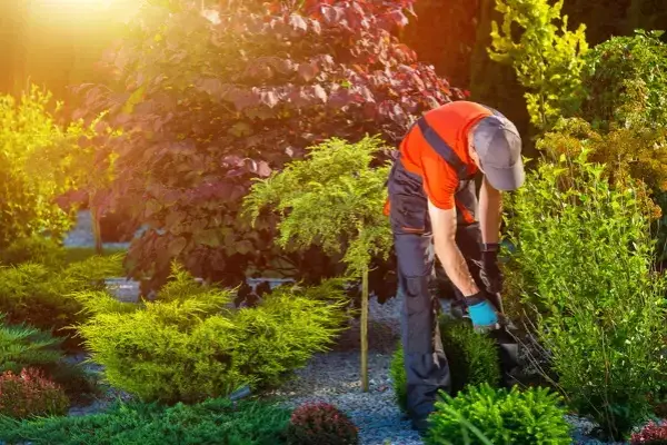 Landscaper in Carpentersville, IL Landscaper in Carpentersville, IL