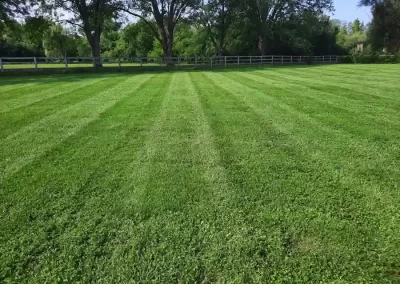 Landscaping Services