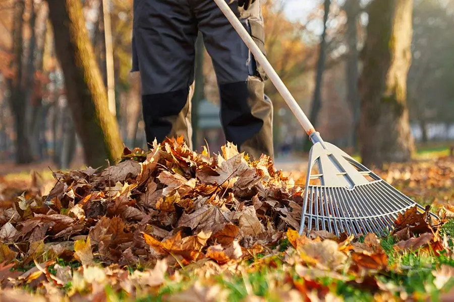 How to Clean Up Yard Carpentersville, IL