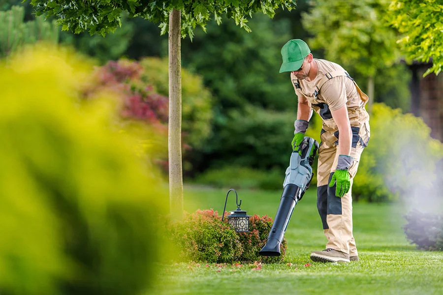 How to Clean Up Yard in Carpentersville, IL