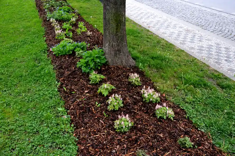Dependable Mulching in Carpentersville, IL