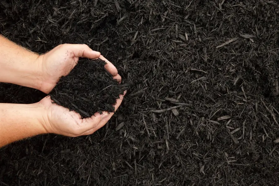 Types of Mulch Carpentersville, IL