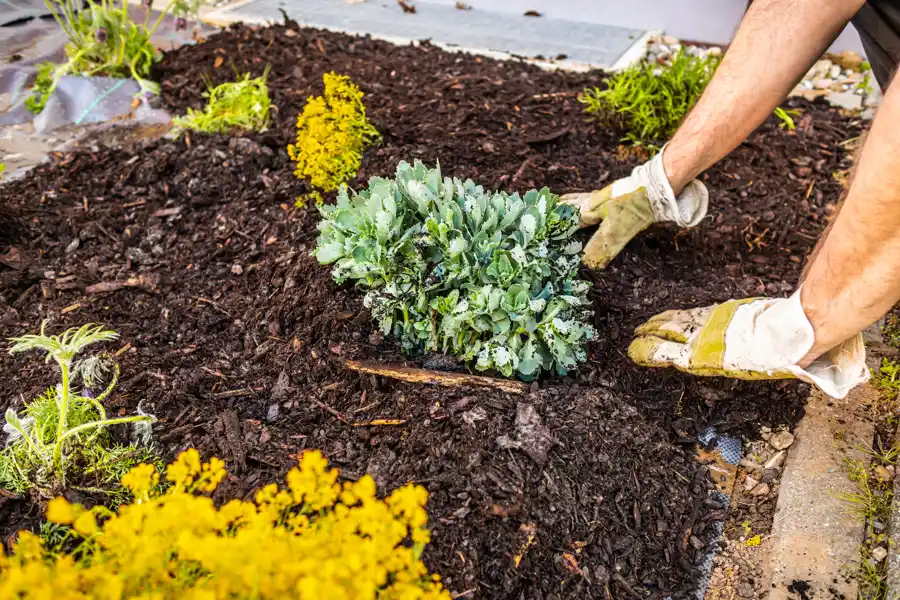 What is Mulching Carpentersville, IL