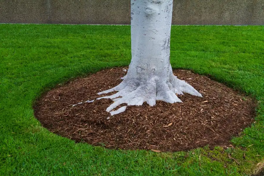 What is Mulching in Carpentersville, IL