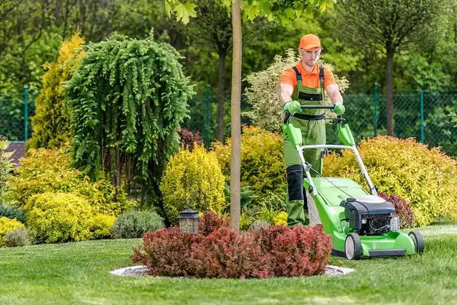 Professional Yard Cleanup Carpentersville, IL