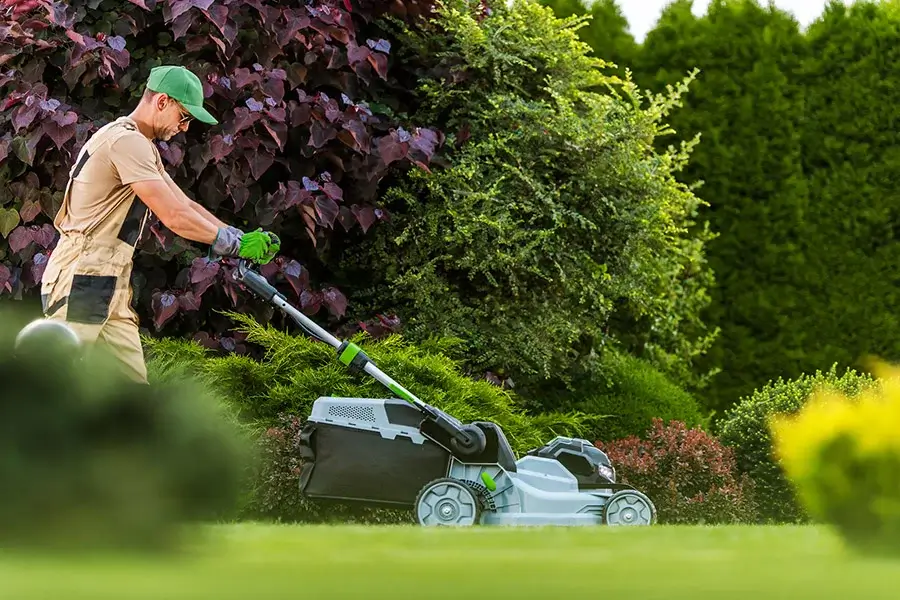 Affordable Yard Cleanup in Carpentersville, IL